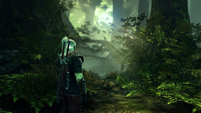 The Witcher 2 Assassins of Kings Screenshot 025