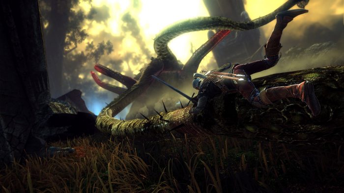 The Witcher 2 Assassins of Kings Screenshot 031