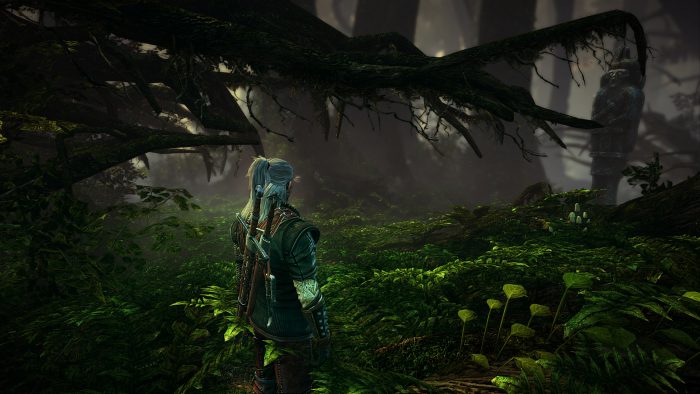 The Witcher 2 Assassins of Kings Screenshot 035