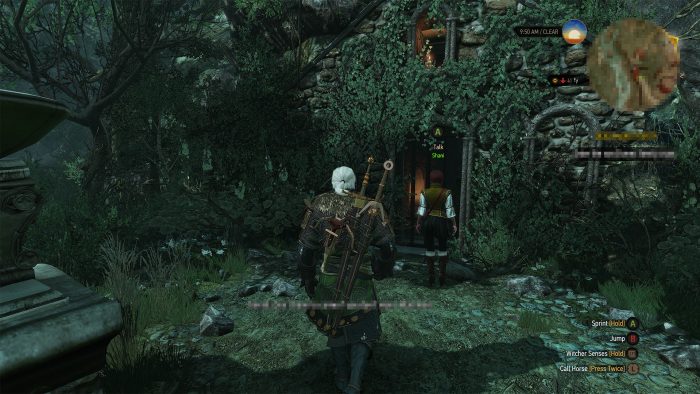 The Witcher 3 Wild Hunt Hearts of Stone Screenshot 018
