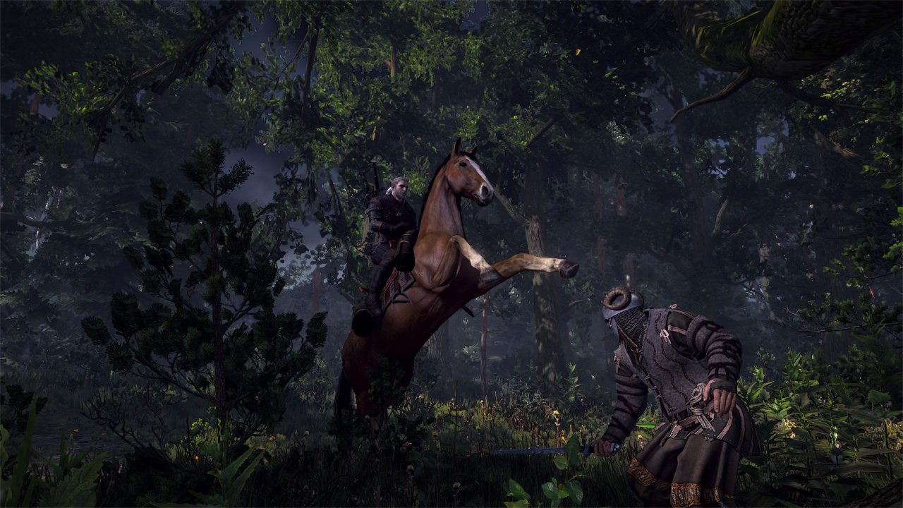 The Witcher 3 Wild Hunt Screenshot 013