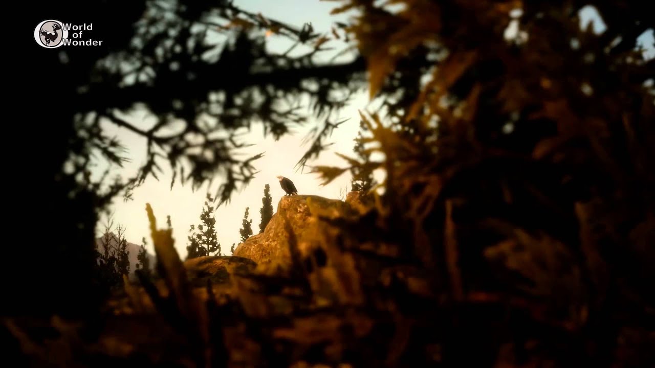 World of Wonder Vol. 1 - Wildlife & Ecology of FINAL FANTASY® XV