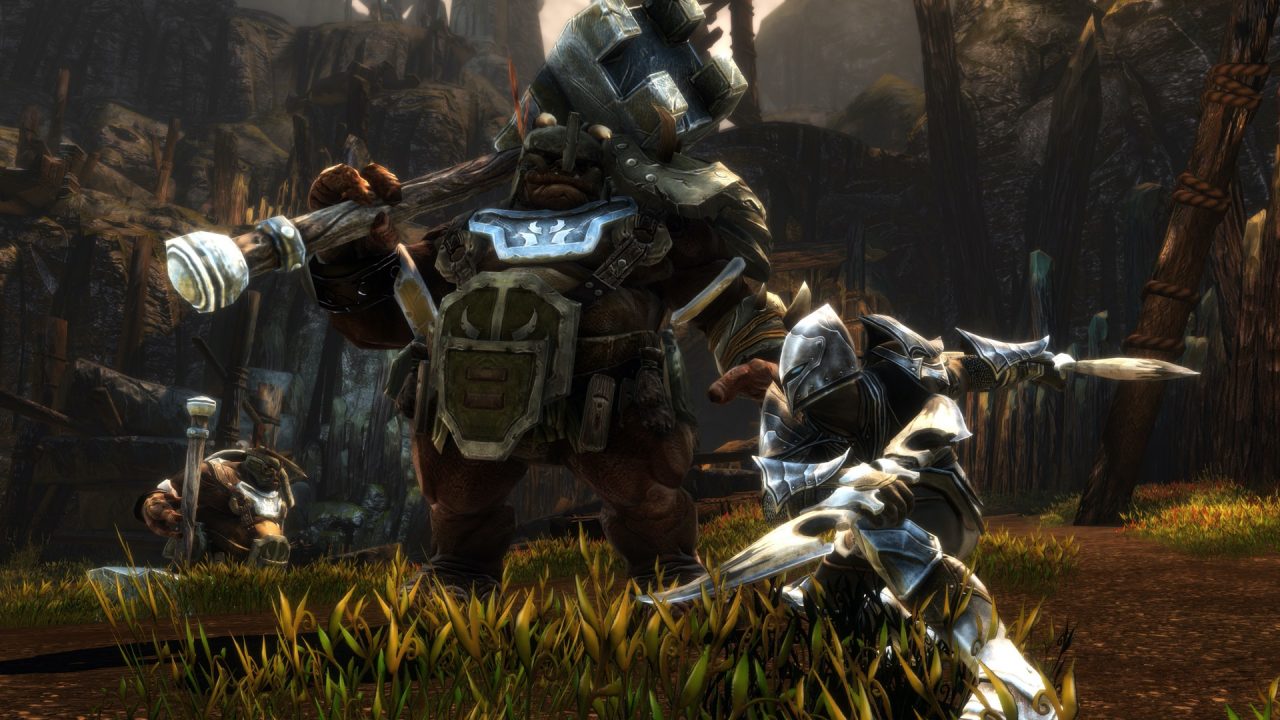 Kingdoms of Amalur Re Reckoning Screenshot 03