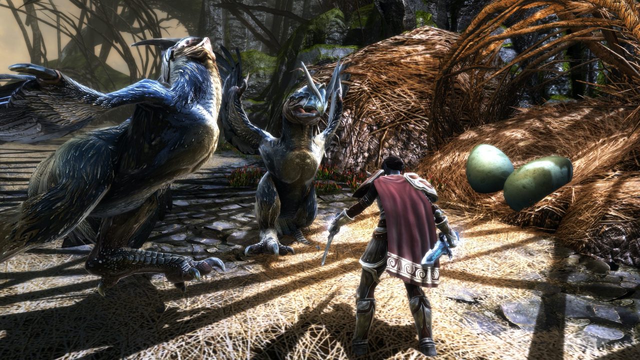 Kingdoms of Amalur Re Reckoning Screenshot 09