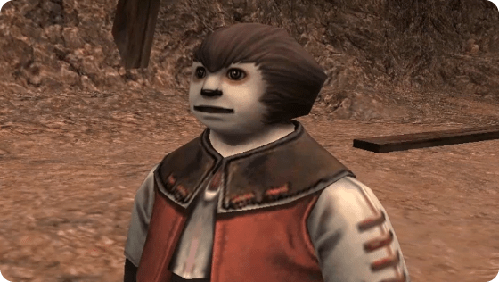 final fantasy xi raebrimm
