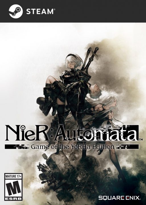 NieR Automata Cover Art 011