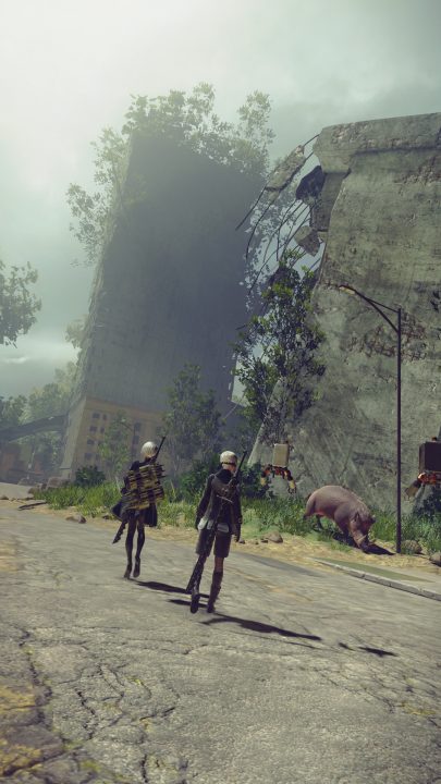 NieR Automata Screenshot 039