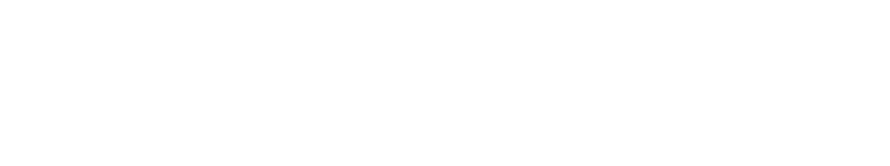 Phantasy Star Online 2 New Genesis Logo Solid White