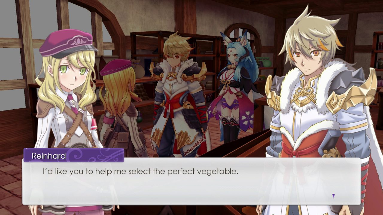 Rune Factory 5 Screenshot 050