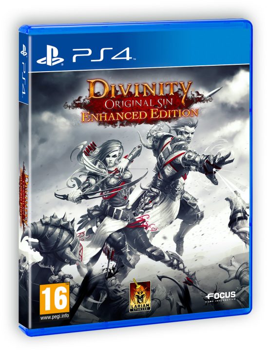 Divinity Original Sin Enhanced Edition Cover Art EU PS4 Angle
