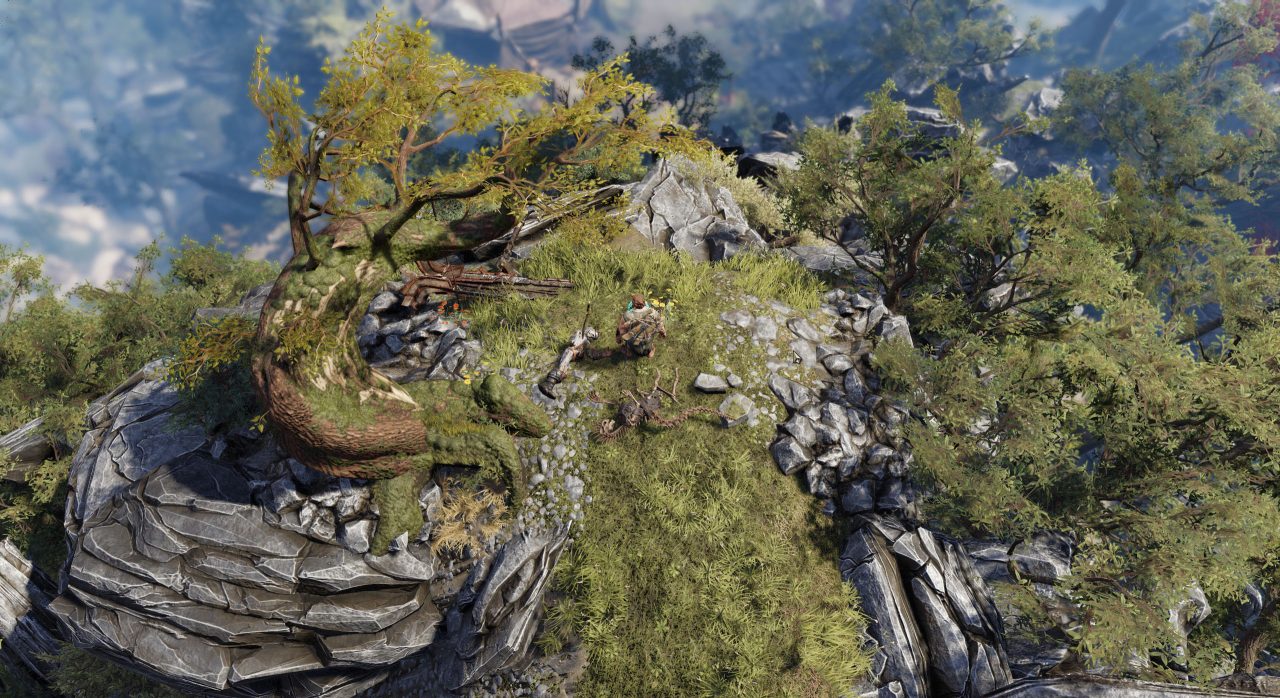 Divinity Original Sin II Screenshot 052