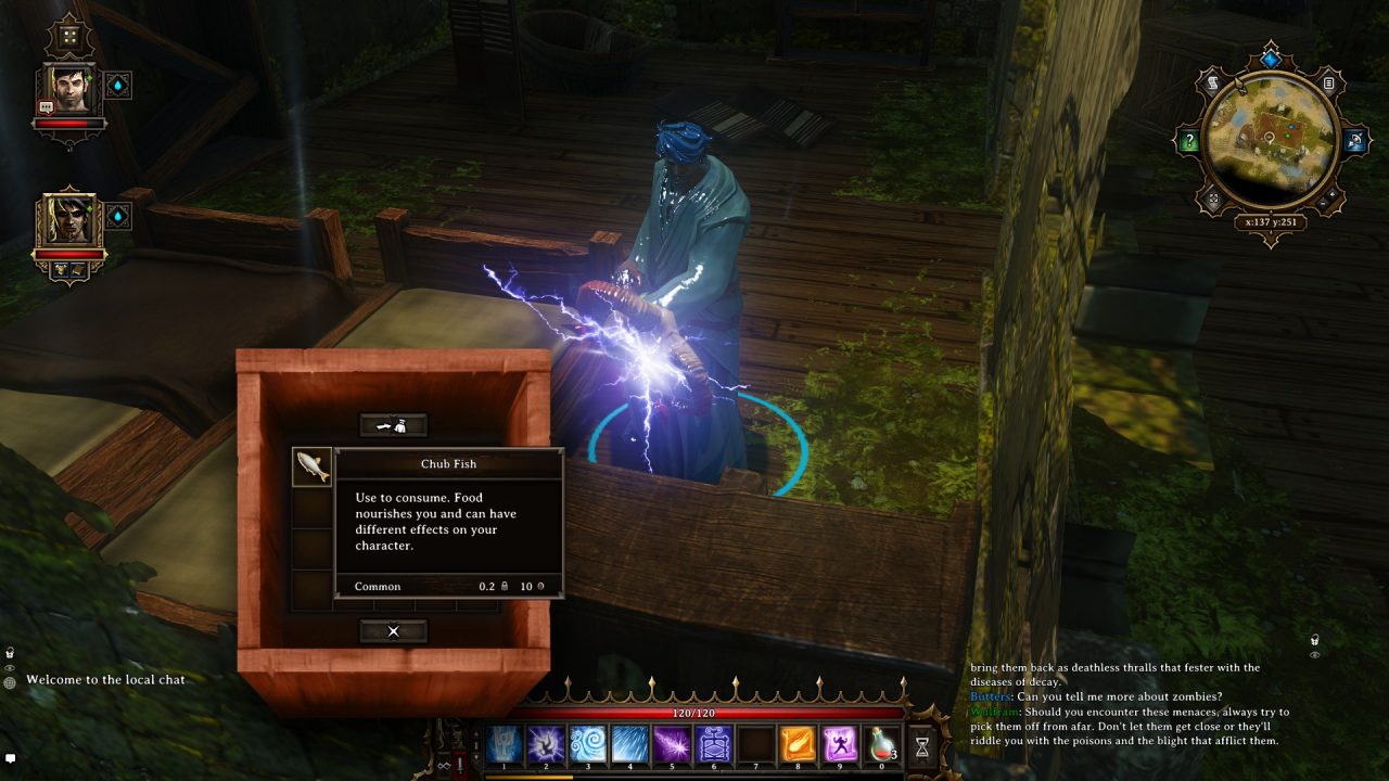 Divinity Original Sin Screenshot 053