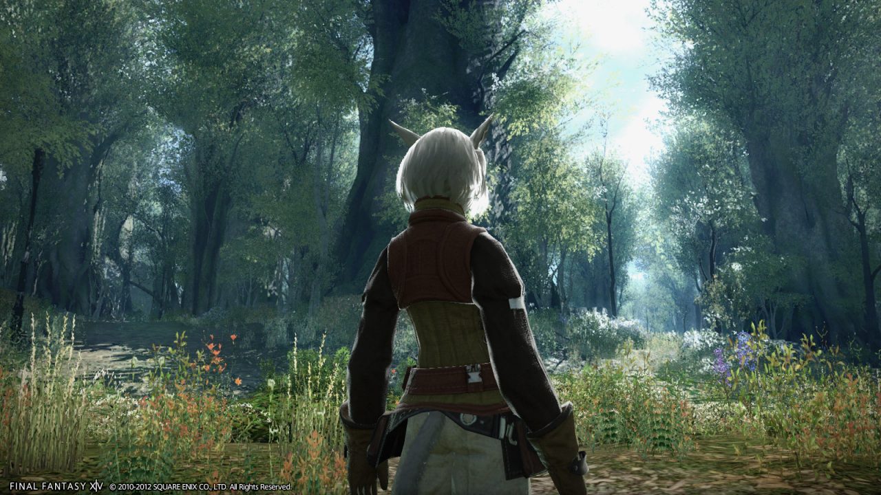 Final Fantasy XIV A Realm Reborn Screenshot 010