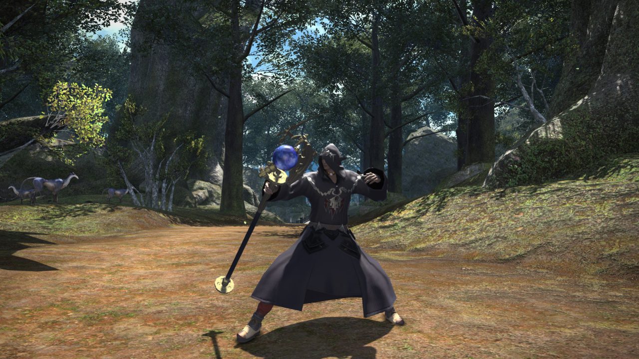 Final Fantasy XIV A Realm Reborn Screenshot 077