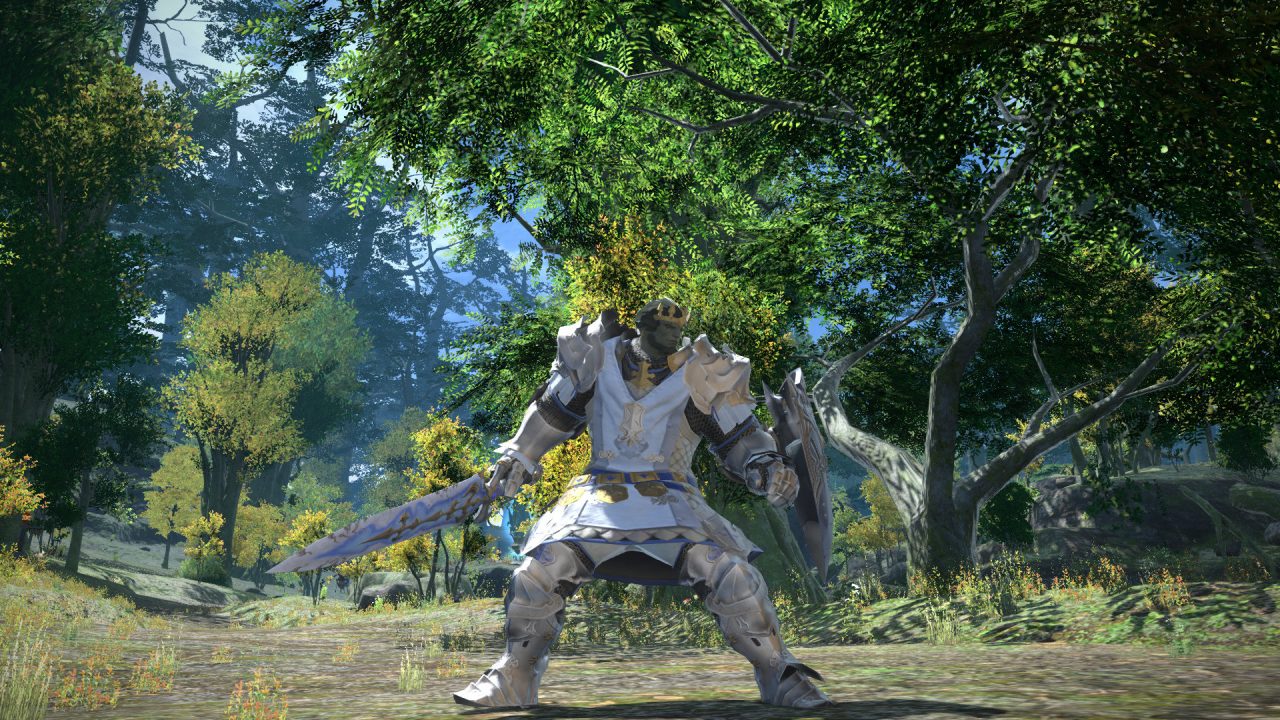 Final Fantasy XIV A Realm Reborn Screenshot 127
