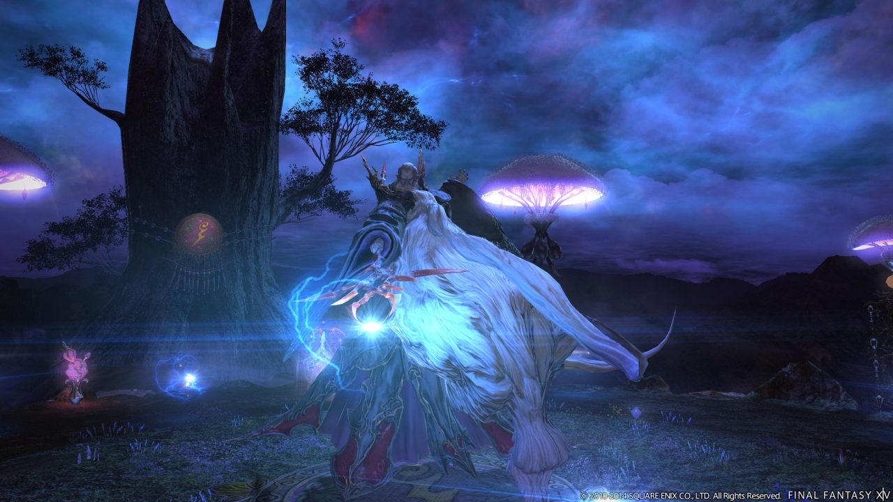 Final Fantasy XIV A Realm Reborn Screenshot 429