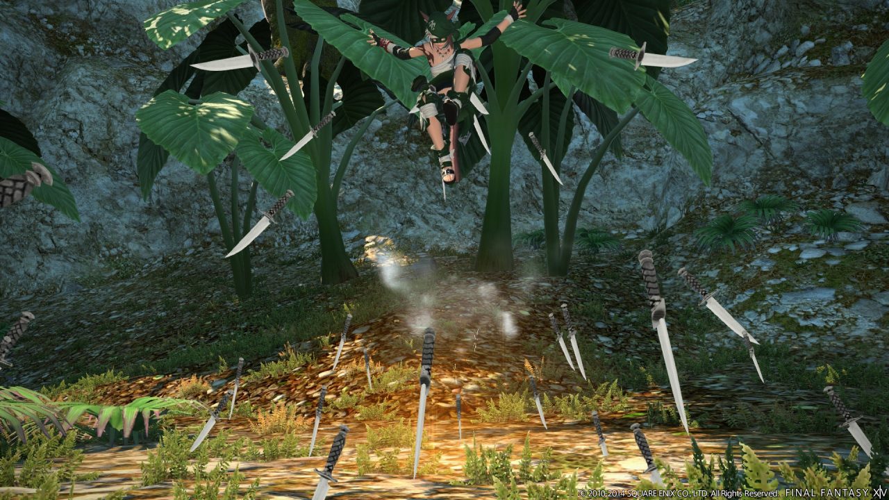 Final Fantasy XIV A Realm Reborn Screenshot 451