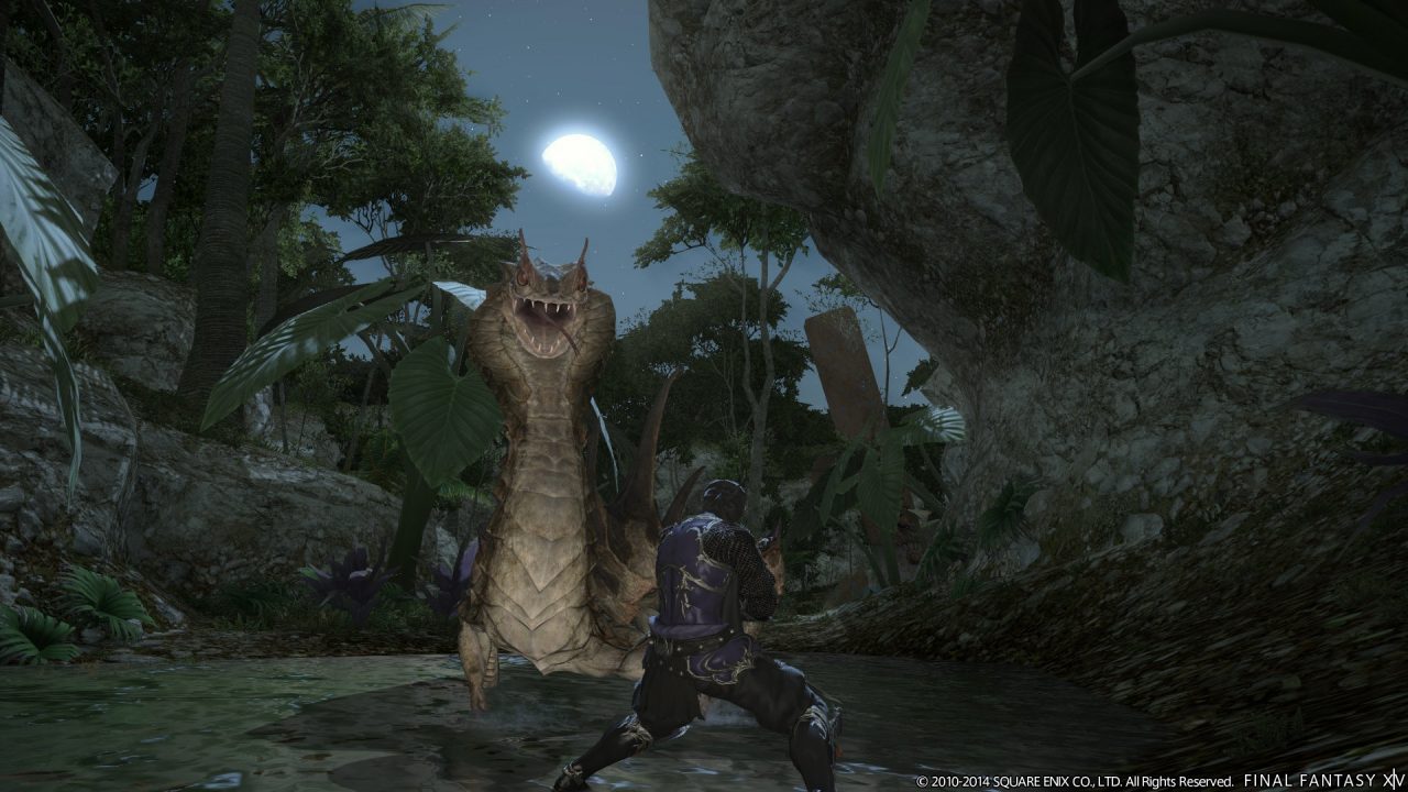 Final Fantasy XIV A Realm Reborn Screenshot 455