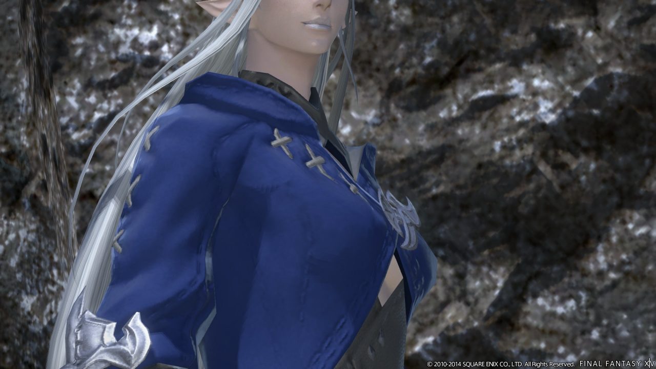 Final Fantasy XIV A Realm Reborn Screenshot 464