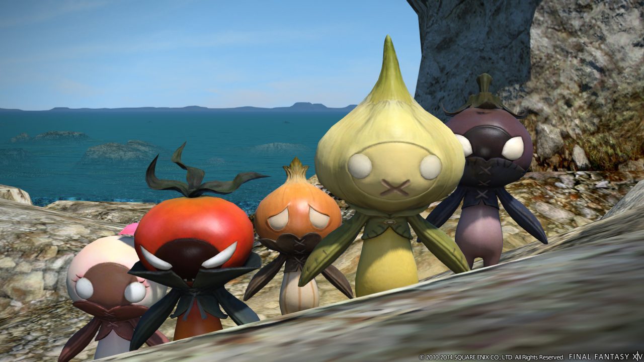 Final Fantasy XIV A Realm Reborn Screenshot 470