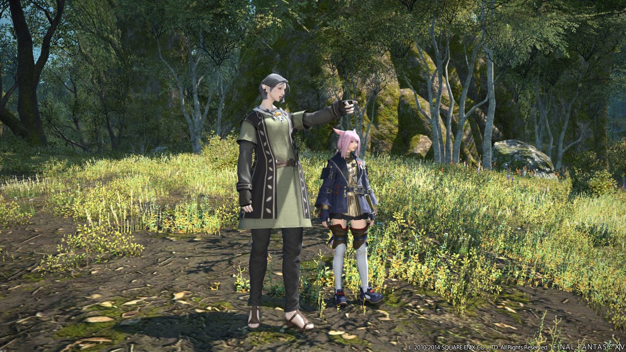 Final Fantasy XIV A Realm Reborn Screenshot 487