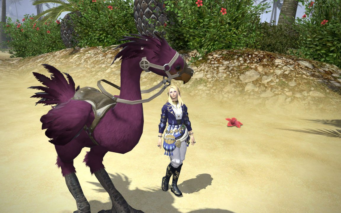 Final Fantasy XIV A Realm Reborn Screenshot 492
