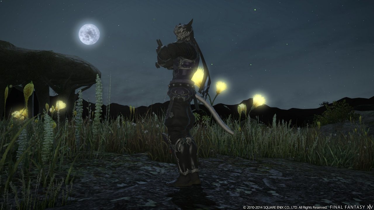 Final Fantasy XIV A Realm Reborn Screenshot 517