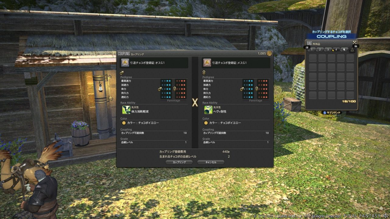 Final Fantasy XIV A Realm Reborn Screenshot 593