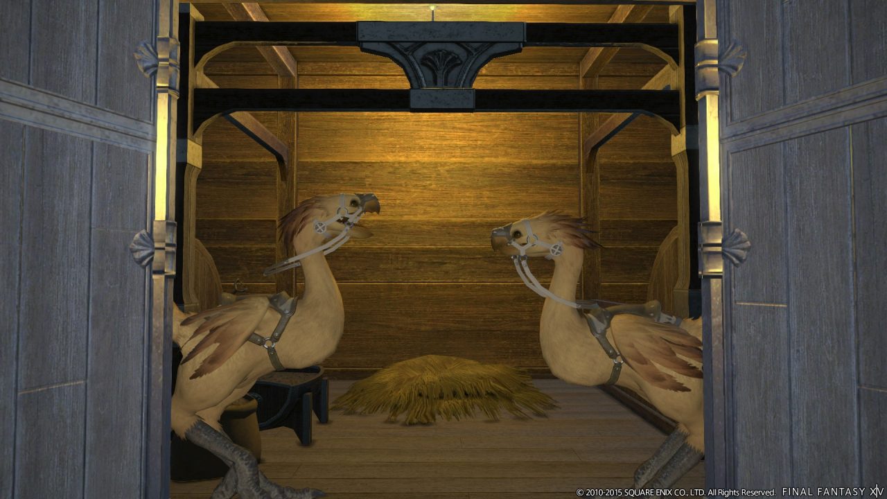 Final Fantasy XIV A Realm Reborn Screenshot 594