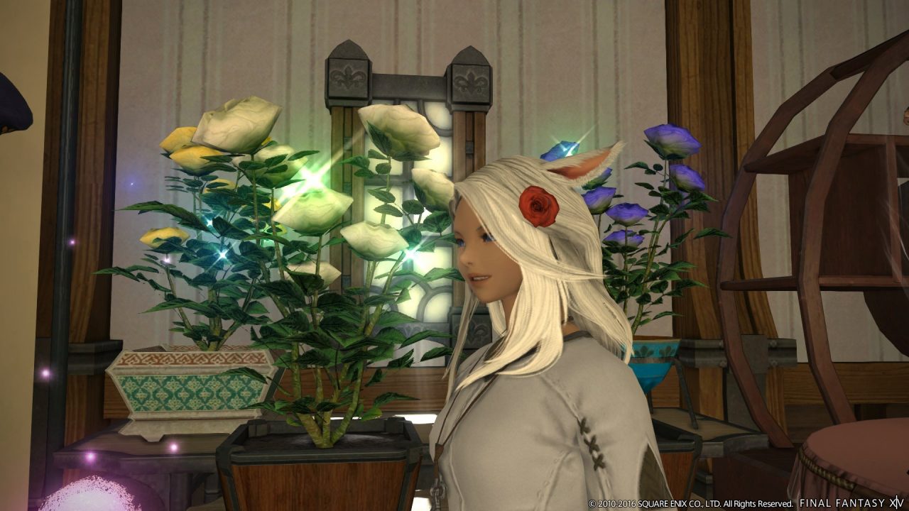Final Fantasy XIV Heavensward Screenshot 433