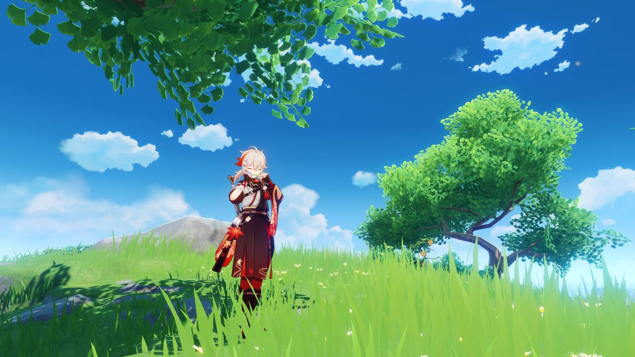 Genshin Impact Screenshot 018