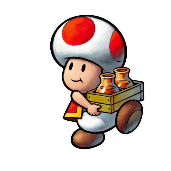 Mario Luigi Bowsers Inside Story Artwork 010