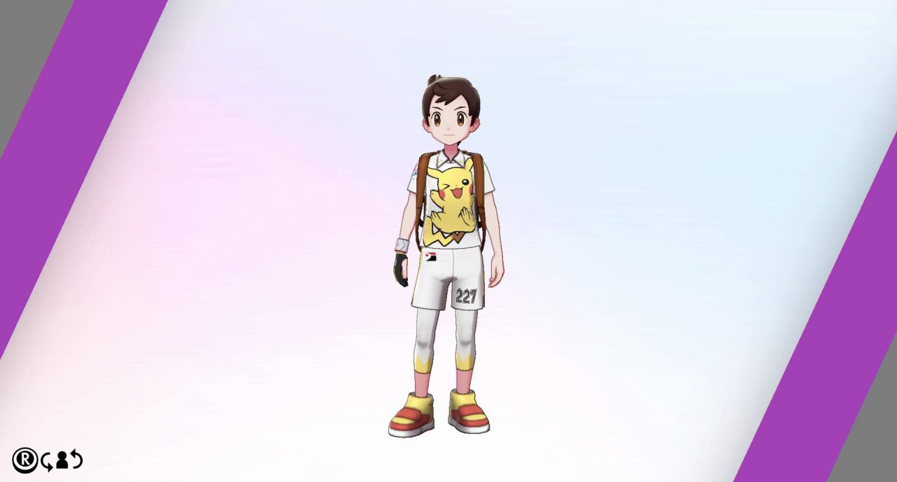 Pokemon Sword Shield The Isle of Armor Screenshot 016