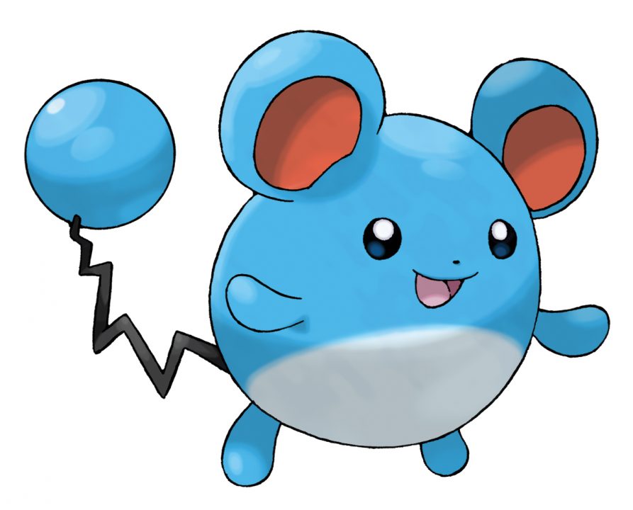 Pokemon X Y Artwork 015