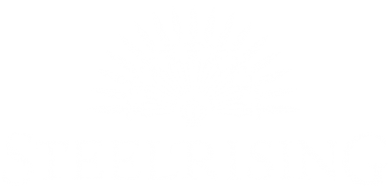 Steelrising Logo White
