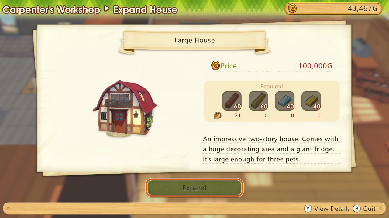 The menu to upgrade to a "large house," which requires 60 supple lumber, 60 durable lumber, 40 silver ingots, 40 gold ingots, and 100,000 gold.