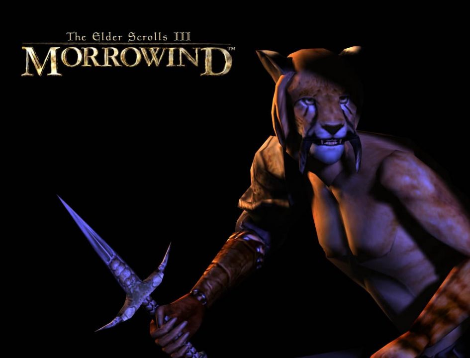 The Elder Scrolls III Morrowind Artwork 004