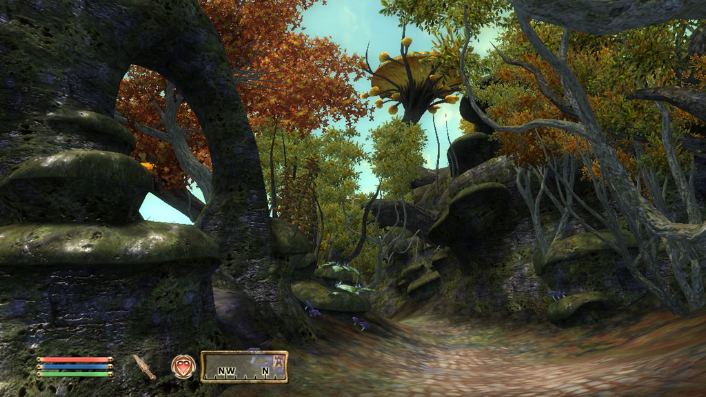 The Elder Scrolls IV Oblivion Screenshot 073