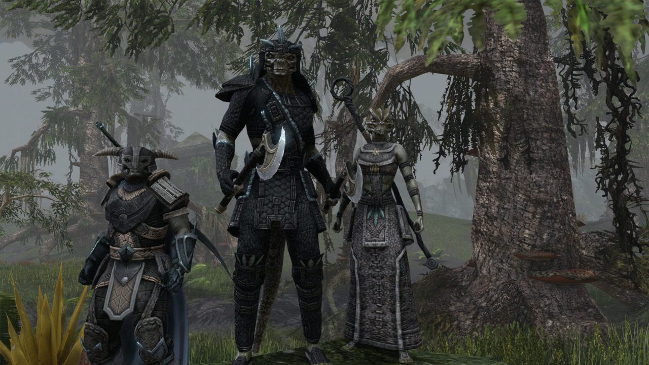 The Elder Scrolls Online Screenshot 008