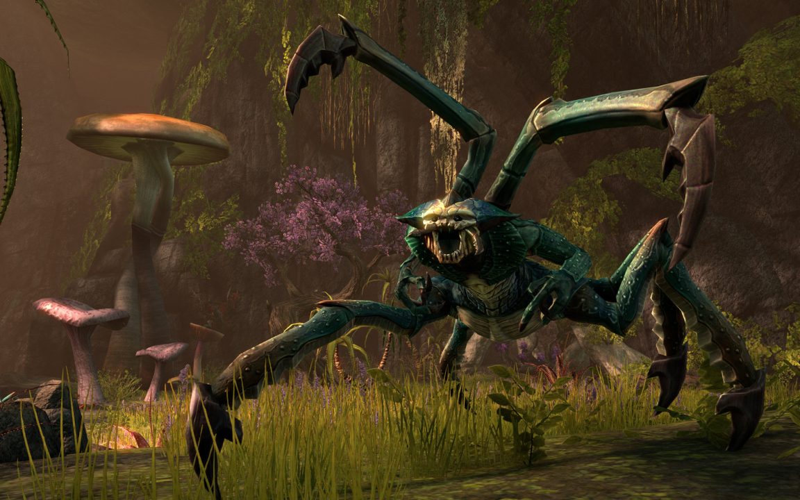The Elder Scrolls Online Screenshot 014
