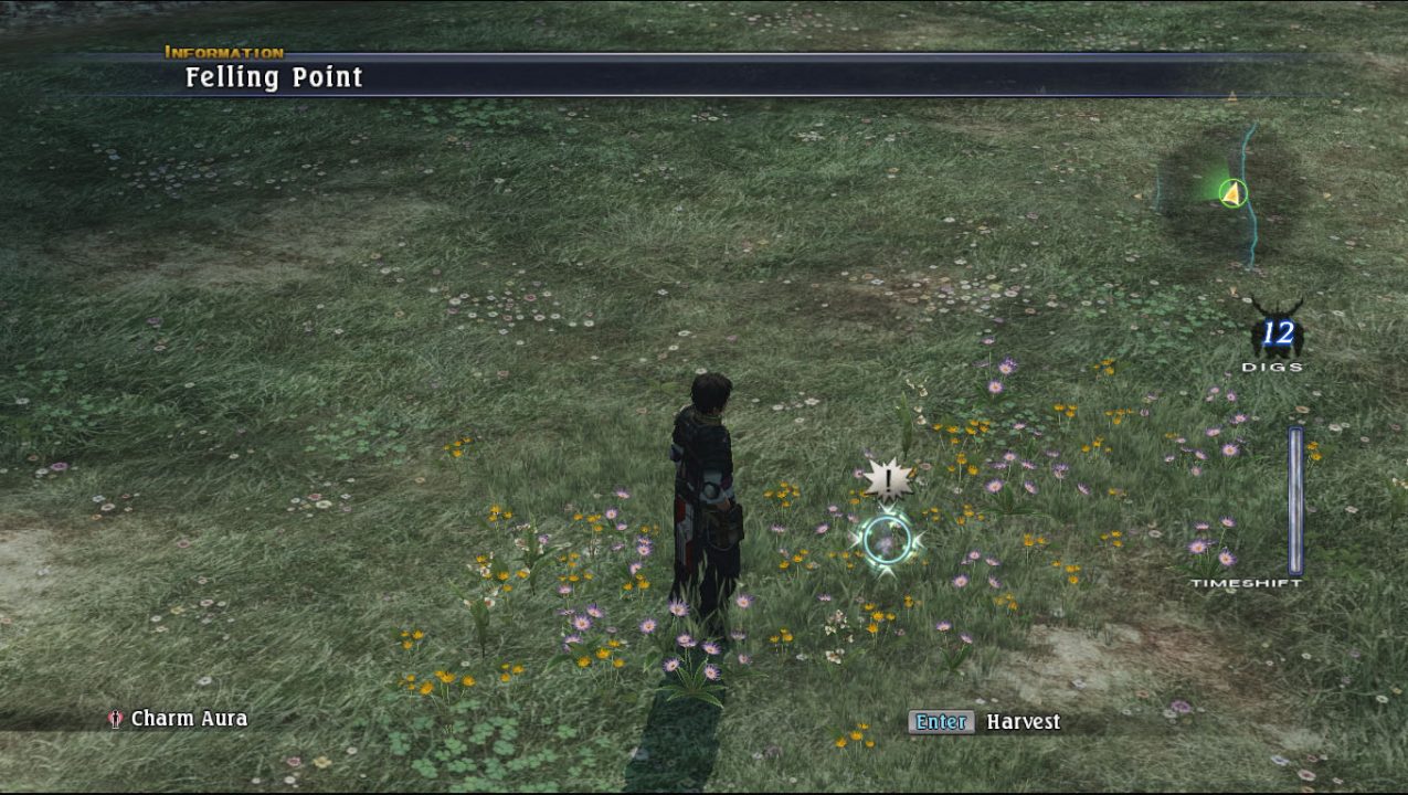 The Last Remnant Screenshot 022