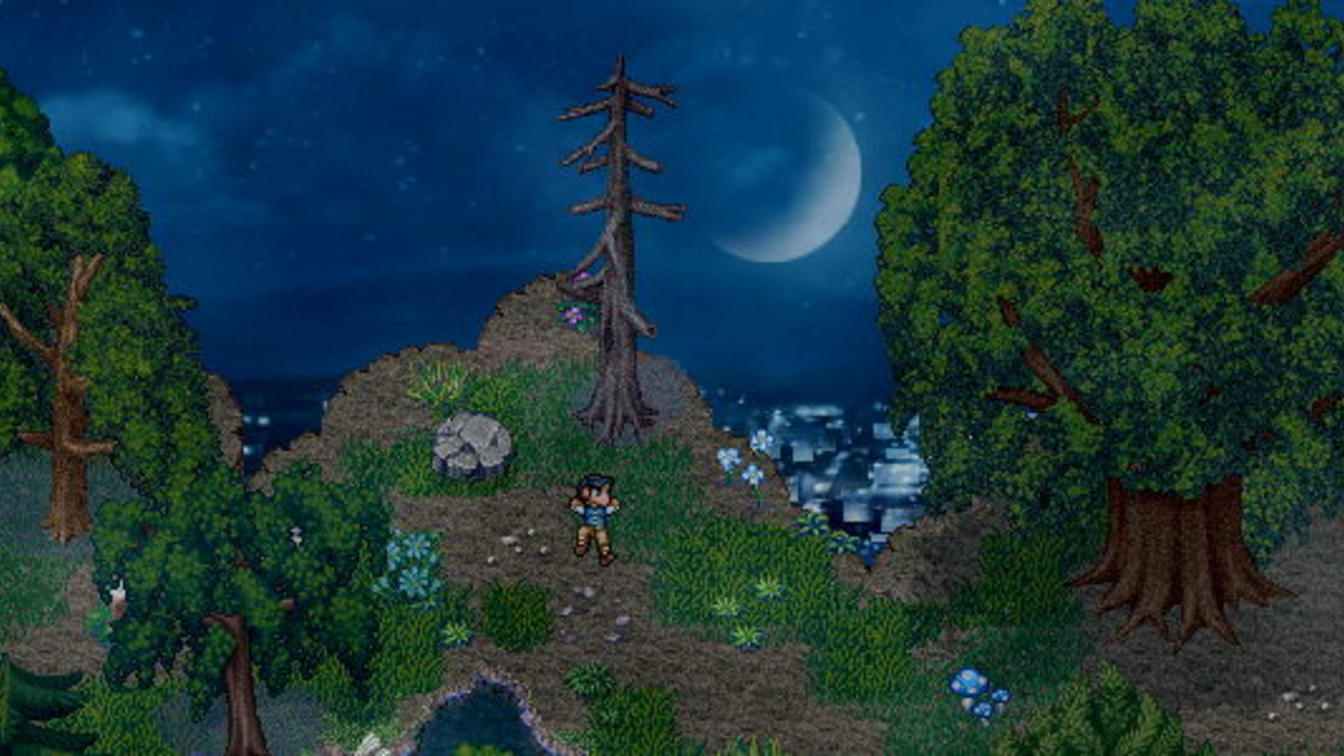 A cliff overlooking a crescent moon by the sea in Finding Paradise.
