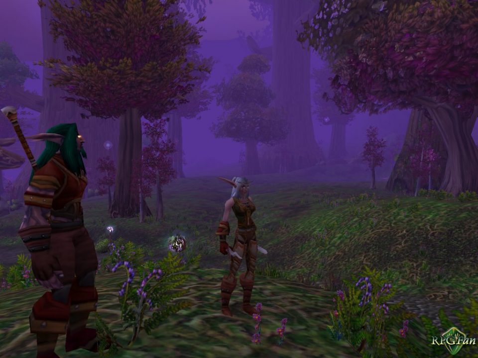 World of Warcraft Screenshot 013