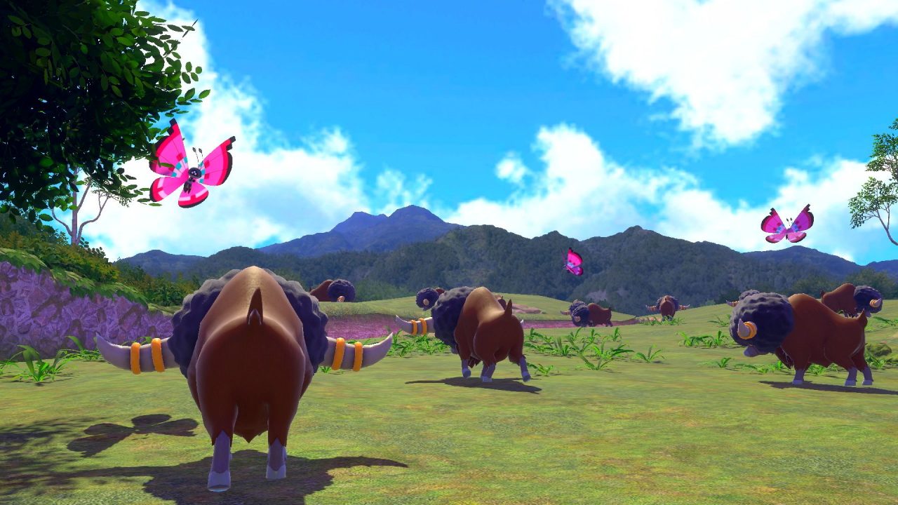 Bouffalant and Vivillon in a field.