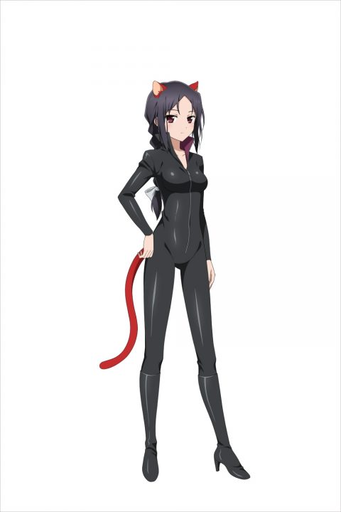 Accel World VS Sword Artwork Online Artwork 013
