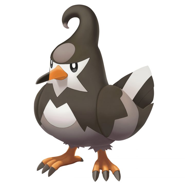Pokemon Brilliant Diamond Shining Pearl Artwork 025 Staravia