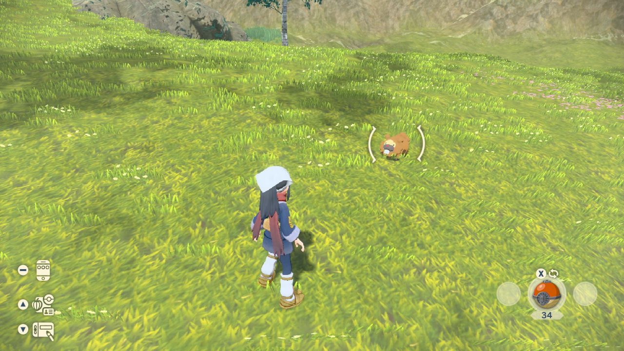 Pokemon Legends Arceus Screenshot 042