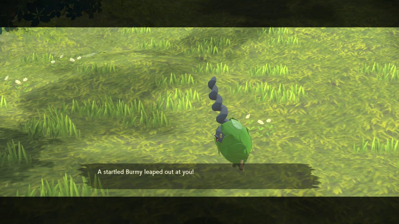 Pokemon Legends Arceus Screenshot 097