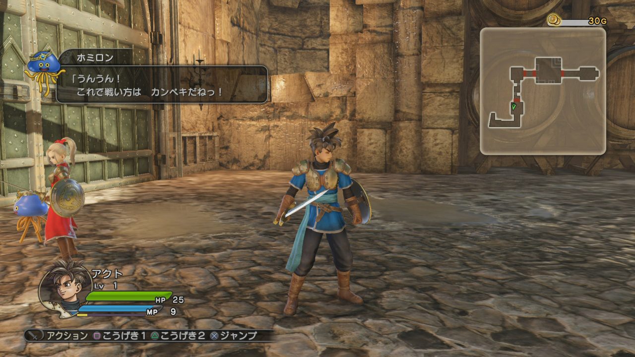 Dragon Quest Heroes Screenshot 128