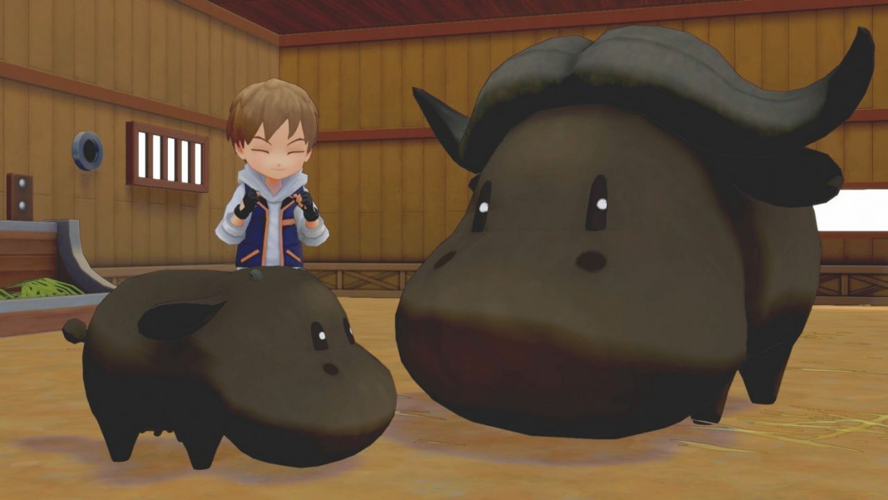 How to make friends and influence cattle in Story of Seasons: Pioneers of Olive Town